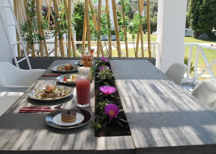 Ow Andros Luxury فندق