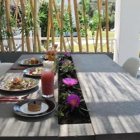 Ow Andros Luxury Hotel