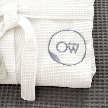 Ow Andros Luxury Hotel