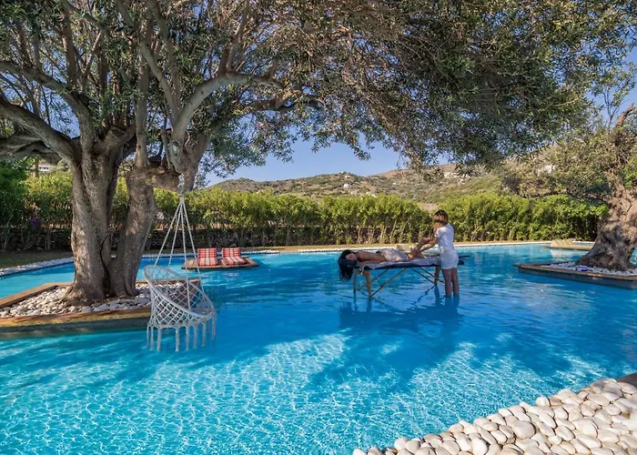 Ow Andros Luxury Гаврион