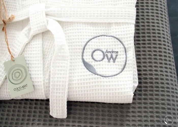 Ow Andros Luxury Hotel